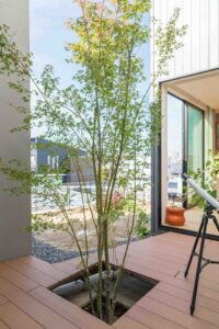 044 DSC05182 Hiroshi Tanigawa